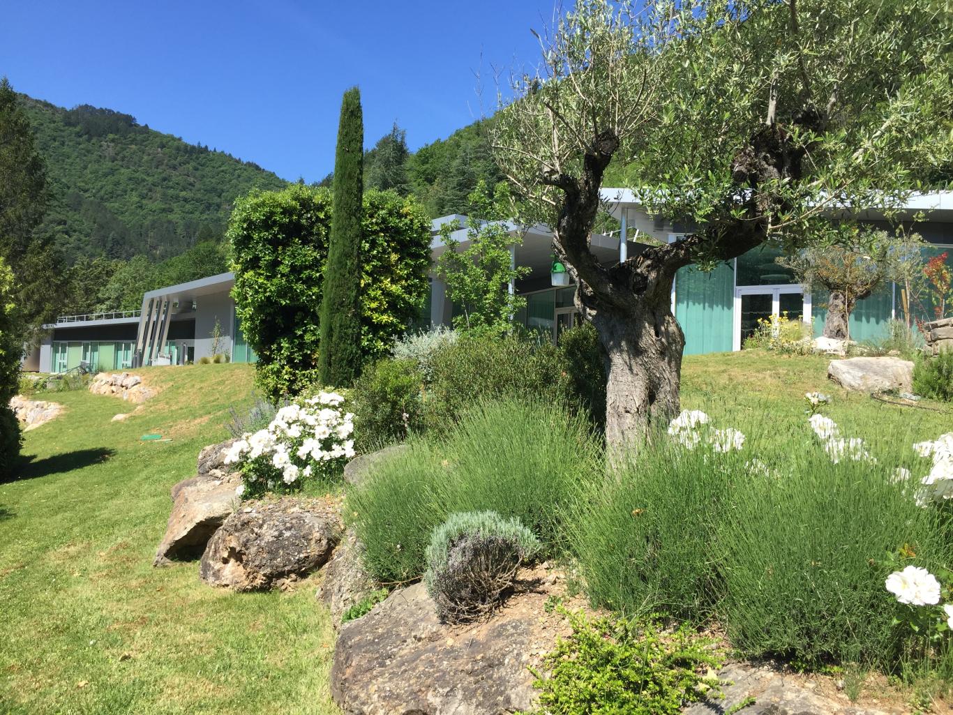 réunion en pleine nature