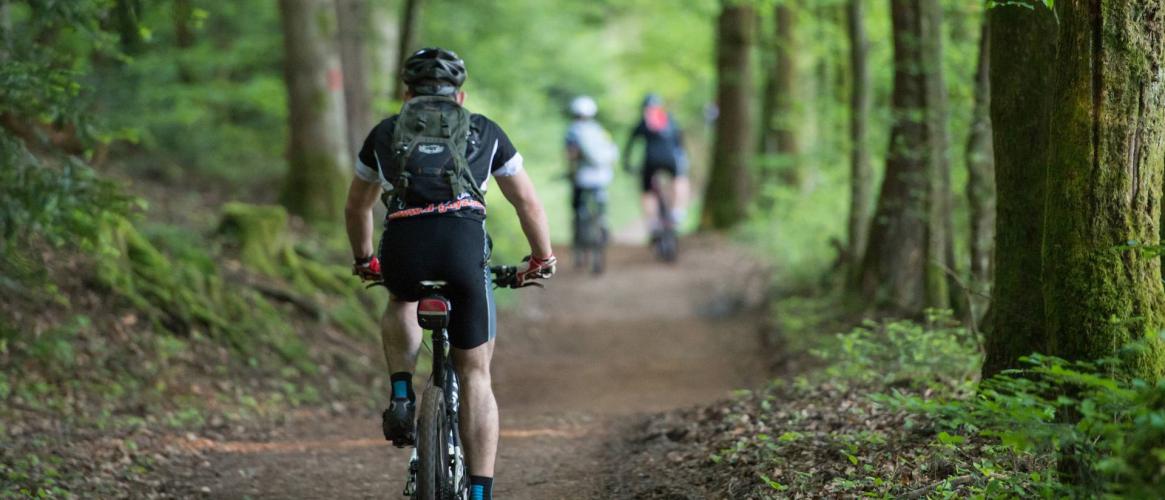 VTT cœur forêt